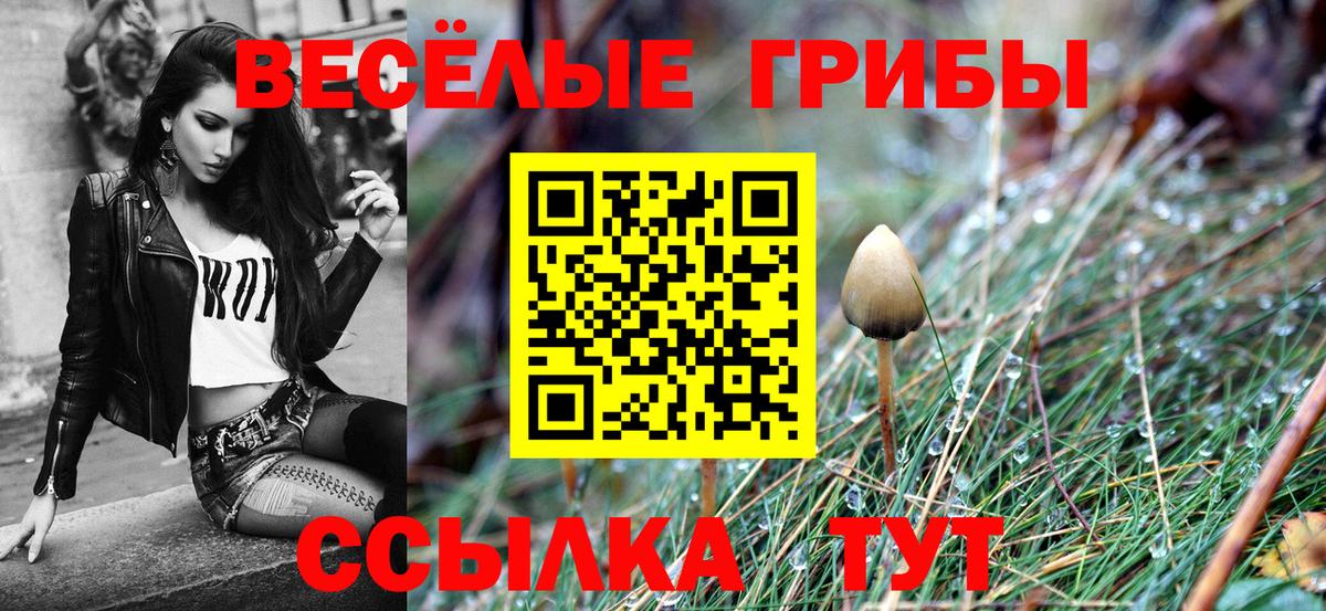 Псилоцибиновые грибы мухоморы  Вход с VPN  Астрахань 