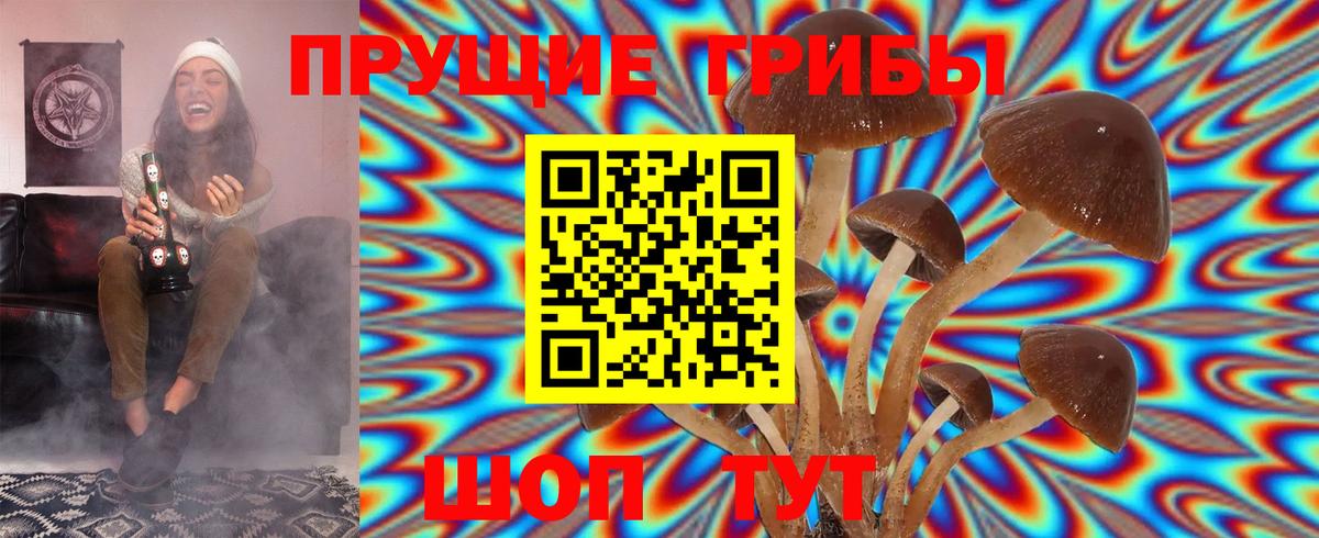 Псилоцибиновые грибы MAGIC MUSHROOMS Астрахань