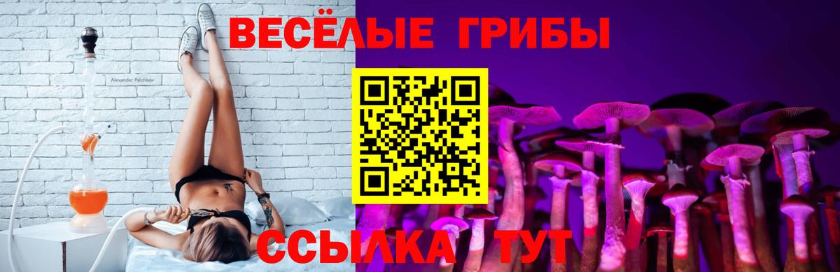Псилоцибиновые грибы Psilocybine cubensis Астрахань