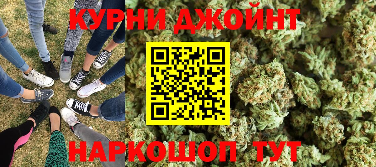 Каннабис индика Астрахань